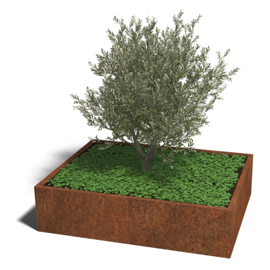 Cortenstaal plantenbak Rechthoek XL 160x120 hoogte=40cm opties=bodemplaat