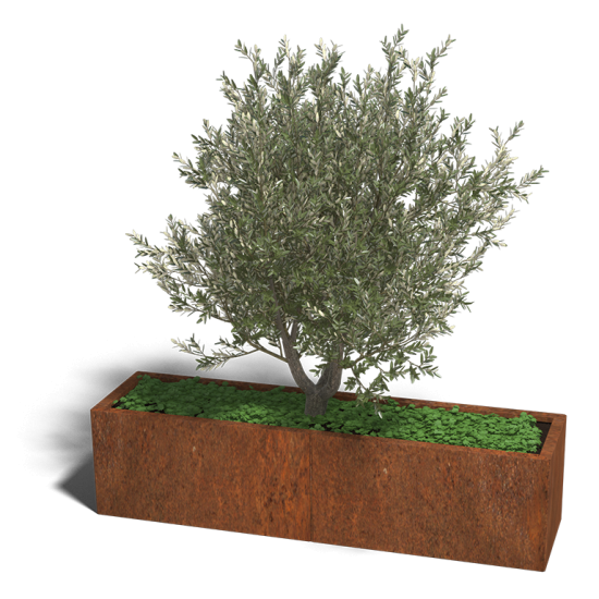 Cortenstaal plantenbak Rechthoek XL 160x40 hoogte=60cm opties=bodemplaat