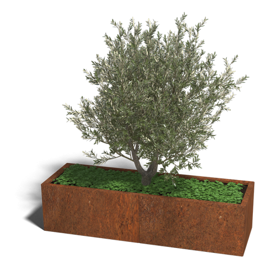 Cortenstaal plantenbak Rechthoek XL 160x50 hoogte=60cm opties=bodemplaat