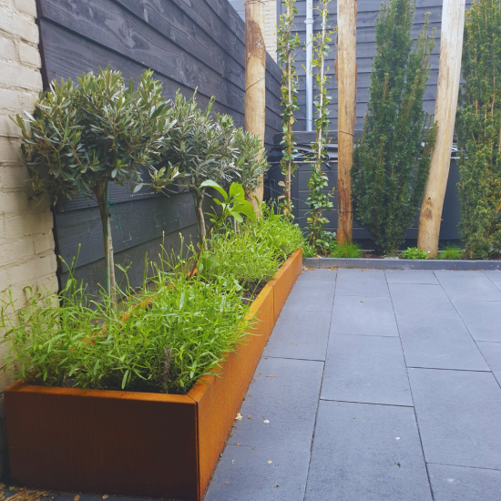 Cortenstaal plantenbak Rechthoek XL 200x100 hoogte=30cm opties=geen bodemplaat