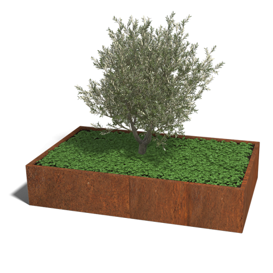 Cortenstaal plantenbak Rechthoek XL 200x120 hoogte=40cm opties=geen bodemplaat