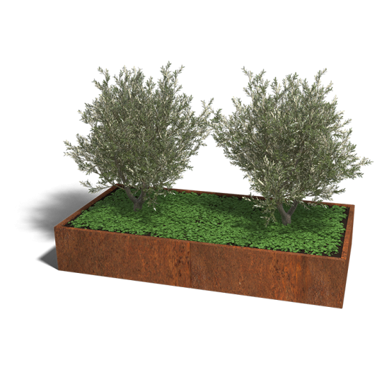 Cortenstaal plantenbak Rechthoek XL 240x120 hoogte=80cm opties=geen bodemplaat