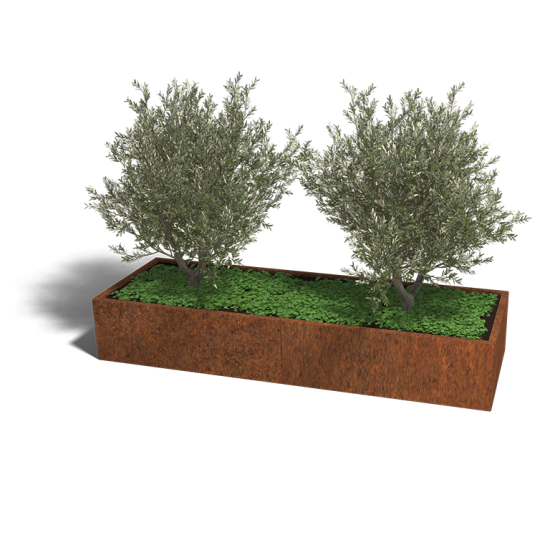 Cortenstaal plantenbak Rechthoek XL 240x80 hoogte=60cm opties=bodemplaat