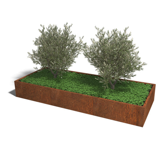 Cortenstaal plantenbak Rechthoek XL 300x120 hoogte=60cm opties=bodemplaat