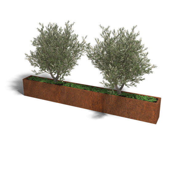 Cortenstaal plantenbak Rechthoek XL 300x30 hoogte=80cm opties=bodemplaat