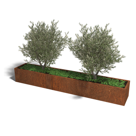 Cortenstaal plantenbak Rechthoek XL 300x50 hoogte=50cm opties=geen bodemplaat
