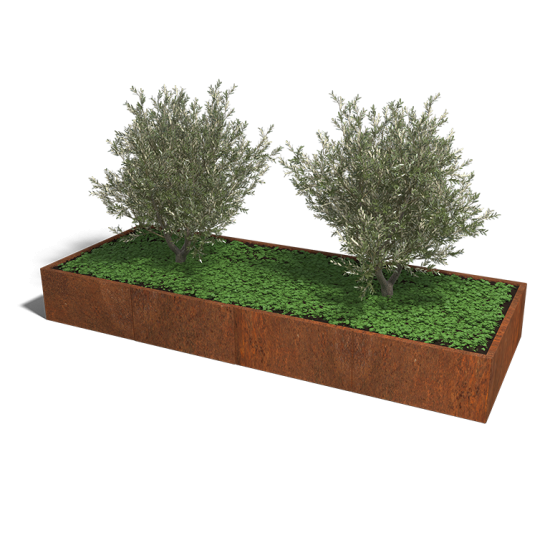 Cortenstaal plantenbak Rechthoek XL 320x120 hoogte=60cm opties=geen bodemplaat