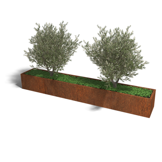 Cortenstaal plantenbak Rechthoek XL 320x50 hoogte=40cm opties=bodemplaat