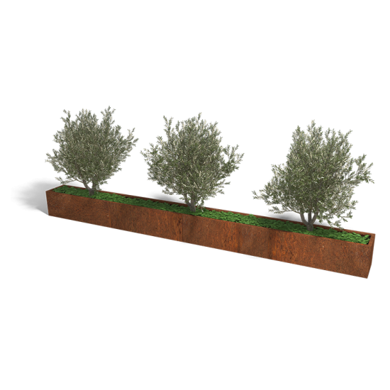 Cortenstaal plantenbak Rechthoek XL 480x40 hoogte=30cm opties=bodemplaat