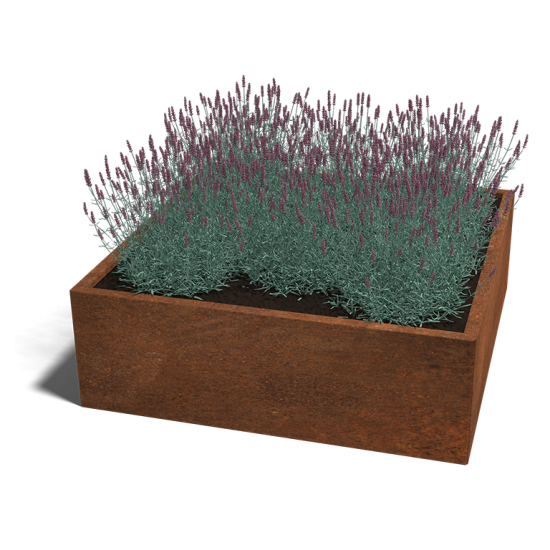 Cortenstaal plantenbak Vierkant 120x120 hoogte=60cm opties=bodemplaat