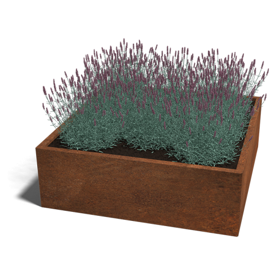 Cortenstaal plantenbak Vierkant 120x120 hoogte=40cm opties=geen bodemplaat