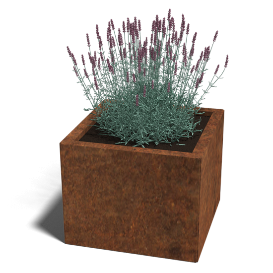 Cortenstaal plantenbak Vierkant 50x50 hoogte=30cm opties=bodemplaat + (8) voeten