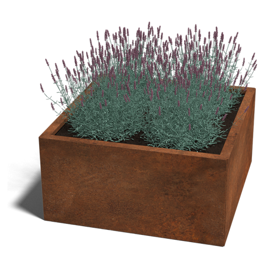 Cortenstaal plantenbak Vierkant 80x80 hoogte=60cm opties=bodemplaat + (8) voeten