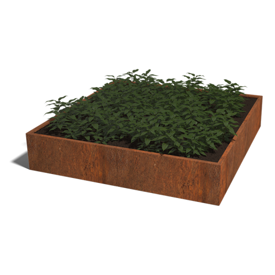 Cortenstaal plantenbak Vierkant XL 200 hoogte=80cm