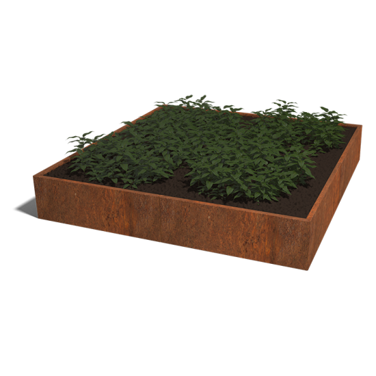 Cortenstaal plantenbak Vierkant XL 240 hoogte=40cm