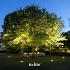 in-lite - Big Nero
