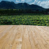 TimberTouch Old 359x20x2,5cm Golden Teak