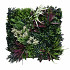 Green wall element Tropic A (50x50 cm)