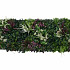 Green wall element Tropic A (50x50 cm)