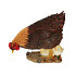 KIP MET KUIKEN H24X26X13CM A3