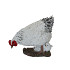 KIP MET KUIKEN H24X26X13CM A3