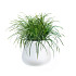 Elho pure cone 45 wit (lxbxh)43x43x36,3