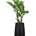 Elho pure cone high 45 zwart (lxbxh)43x43x66,3