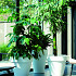 Elho pure round 50 wit (lxbxh)49x49x44,4