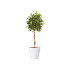 Elho pure straight round 50 wit (lxbxh)50x50x51