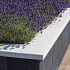 Muur afdekplaat 100x25x5 Noorswit