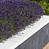 Muur afdekplaat 100x25x5 Noorswit