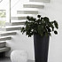 Elho pure straight round high 40 antraciet (lxbxh)39x39x80