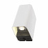 in-lite - Ace Up-Down White