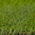 Royal Grass® | Seda | 2 meter breed