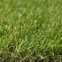 Royal Grass® Sense 4 meter breed