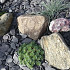 Zakgoed | Canadian Slate | Grijs-blauw 30-60 mm (25 kg)