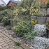 Cirkelflor Groot Zwart 48x38x30
