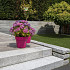 Traptrede Granit grey piazzo 100x35x15 cm - maandprijs