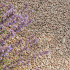 Zakgoed | Graniet | Rood 16-22 mm (25 kg)