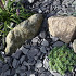 Canadian Slate grijs-blauw 30-60 mm (1000 kg)