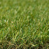Royal Grass® Sense 2 meter breed