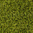 Royal Grass® Sense 2 meter breed