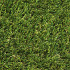 Royal Grass® Silk 35 ** 2 meter breed