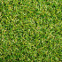 Royal Grass® Wave 2 meter breed