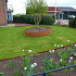 Flexline 100x2200 mm, Weervast (corten) incl. 3 platte grondpennen en verbindingsplaat