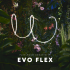 in-lite - Evo Flex 2