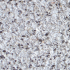 Infra GeoColor klinker Excellent 21x10,5x8 edelgrijs (XLL)