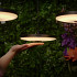 in-lite - Disc Light Head