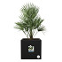 Elho vivo next vierkant 40 living black (lxbxh) 39x40x38 cm + wielen