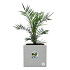 Elho vivo next vierkant 40 living concrete (lxbxh) 39x40x38 cm + wielen